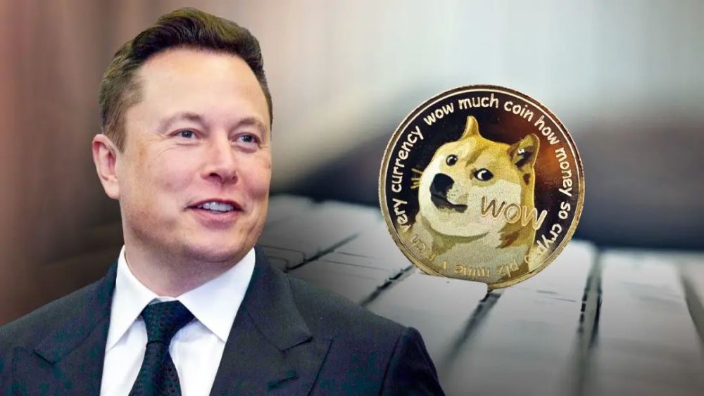 马斯克狗狗币ceo(马斯克狗狗币月球图片)