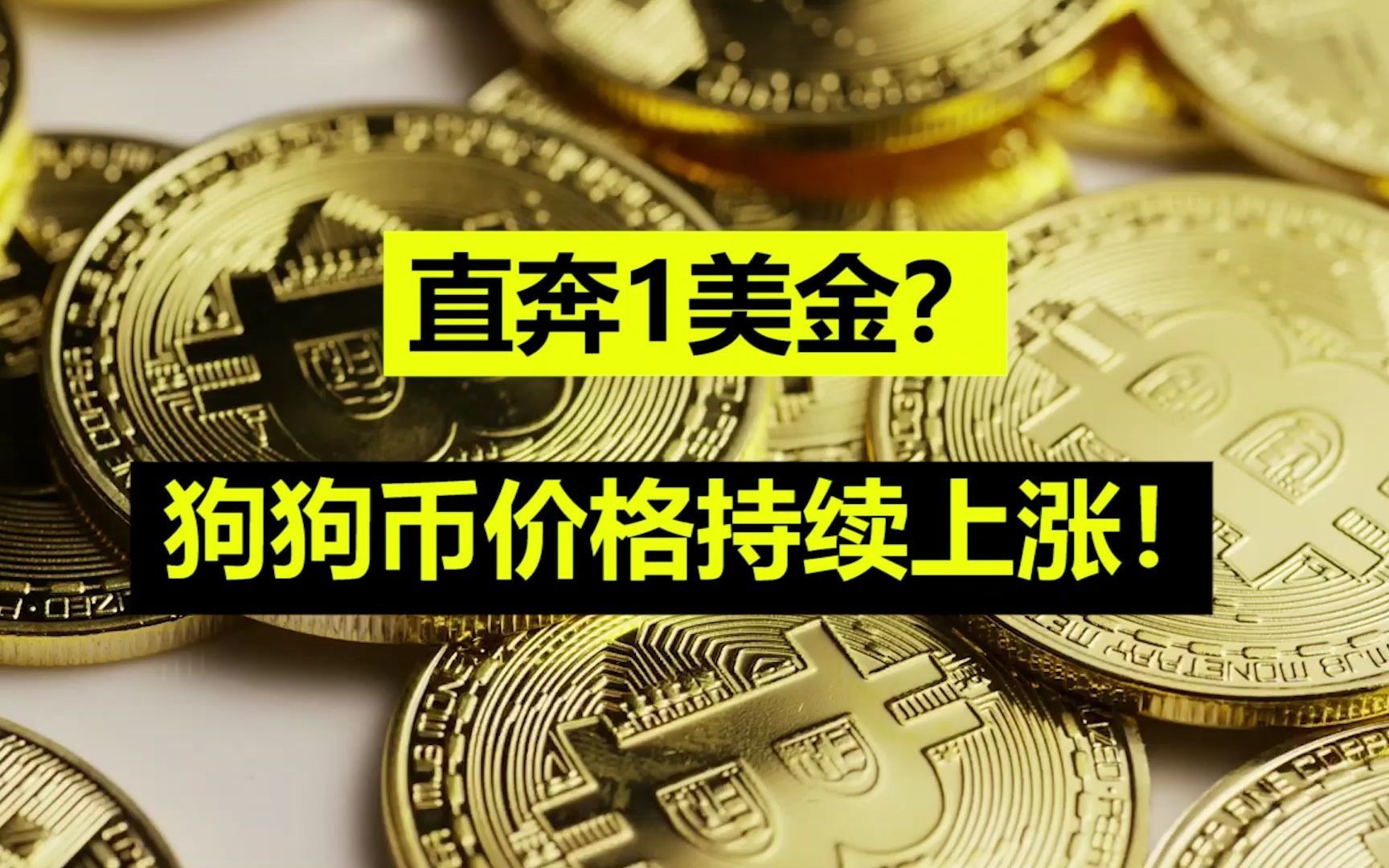 狗狗币崩盘时间(狗狗币最新崩盘热议)