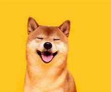 以太坊狗狗币(以太坊钱包能放狗狗币么)
