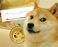 酷狗狗狗币兑换邮费(酷狗狗狗币兑换邮费多少钱)