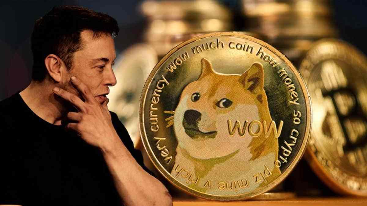 twitter狗狗币打赏的简单介绍