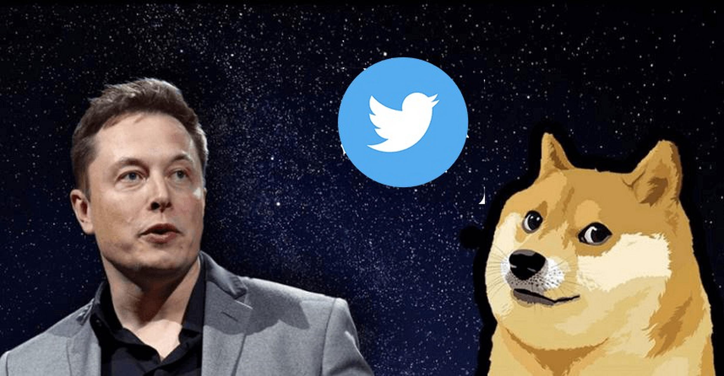 twitter狗狗币打赏的简单介绍