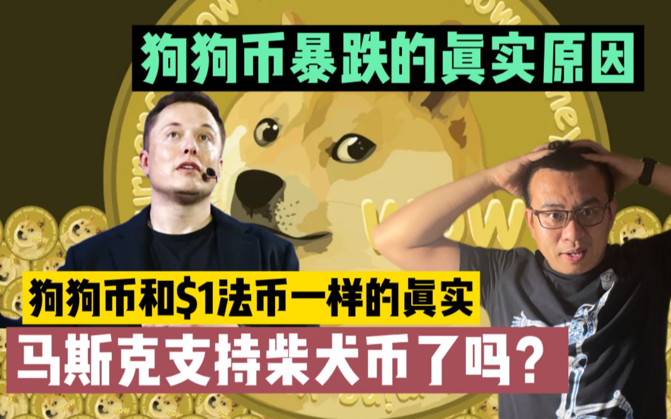 柴犬币跟狗狗币有什么区别(柴犬币和狗狗币哪个有投资价值)