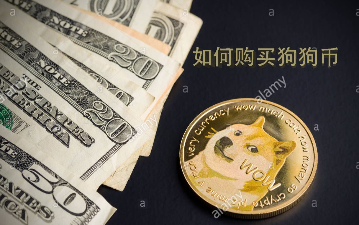 国内用户如何投资狗狗币(国内用户如何投资狗狗币赚钱)