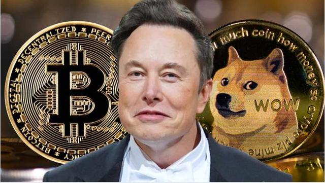 狗狗币完蛋了吗为什么老是不涨的简单介绍