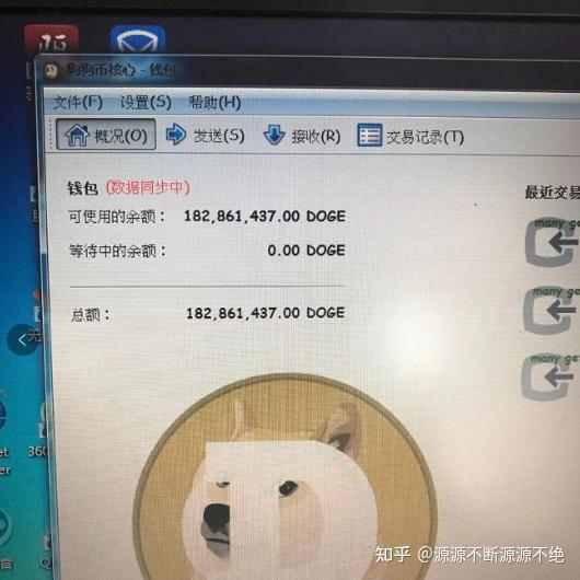 狗狗币钱包怎么设置密码(狗狗币钱包dogecoin)