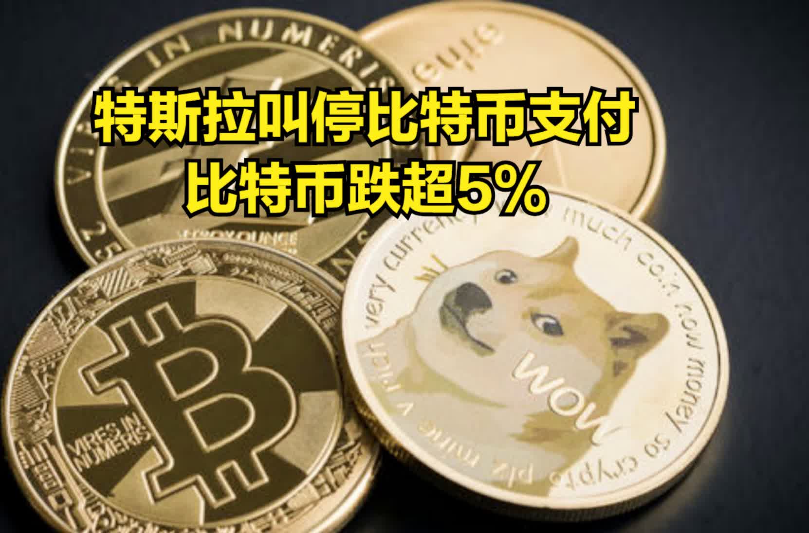狗狗币会跌么(狗狗币会跌吗?)