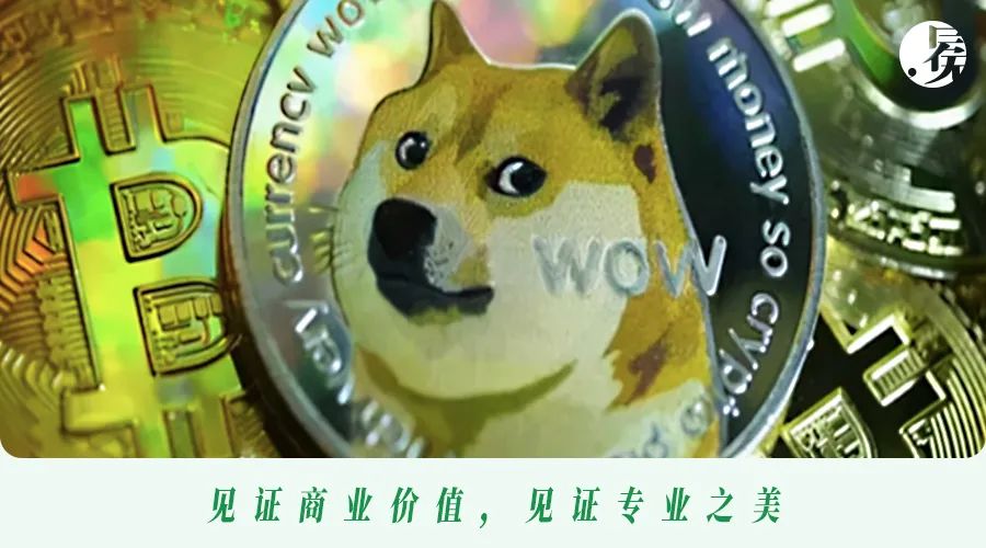 狗狗币涨不涨看什么(狗狗币这几天涨幅还大,还能涨吗)