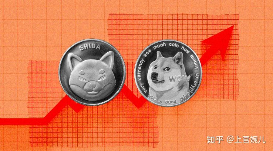 狗狗币为啥用柴犬(狗狗币为什么不值钱)