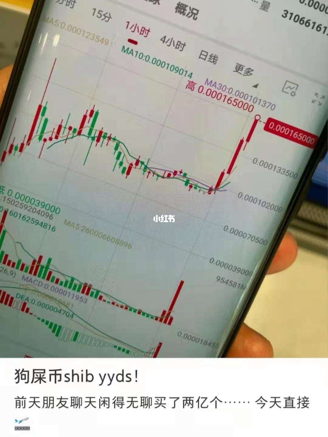 狗狗币屎币腾讯(狗狗币和屎币哪个值得投资)