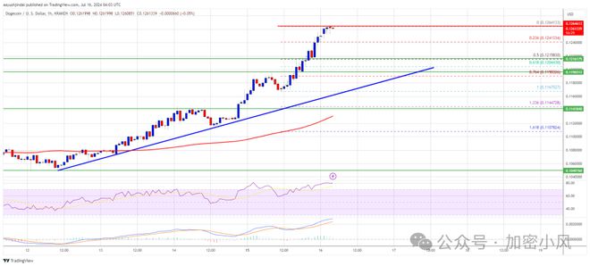 狗狗币7月份的价格(狗狗币2021年5月份是涨是跌)