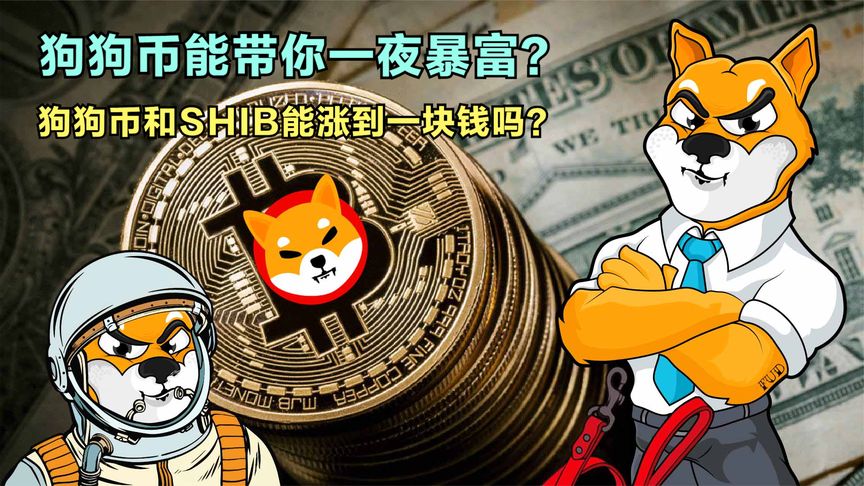 为什么狗狗币的价值在变的简单介绍