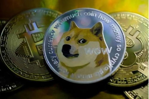 狗狗币近一年翻了多少倍(狗狗币2021年翻了多少倍)