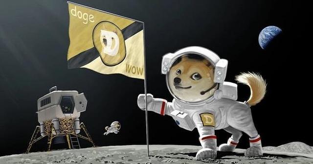不会是狗狗币(狗不是真的人你是真的狗)