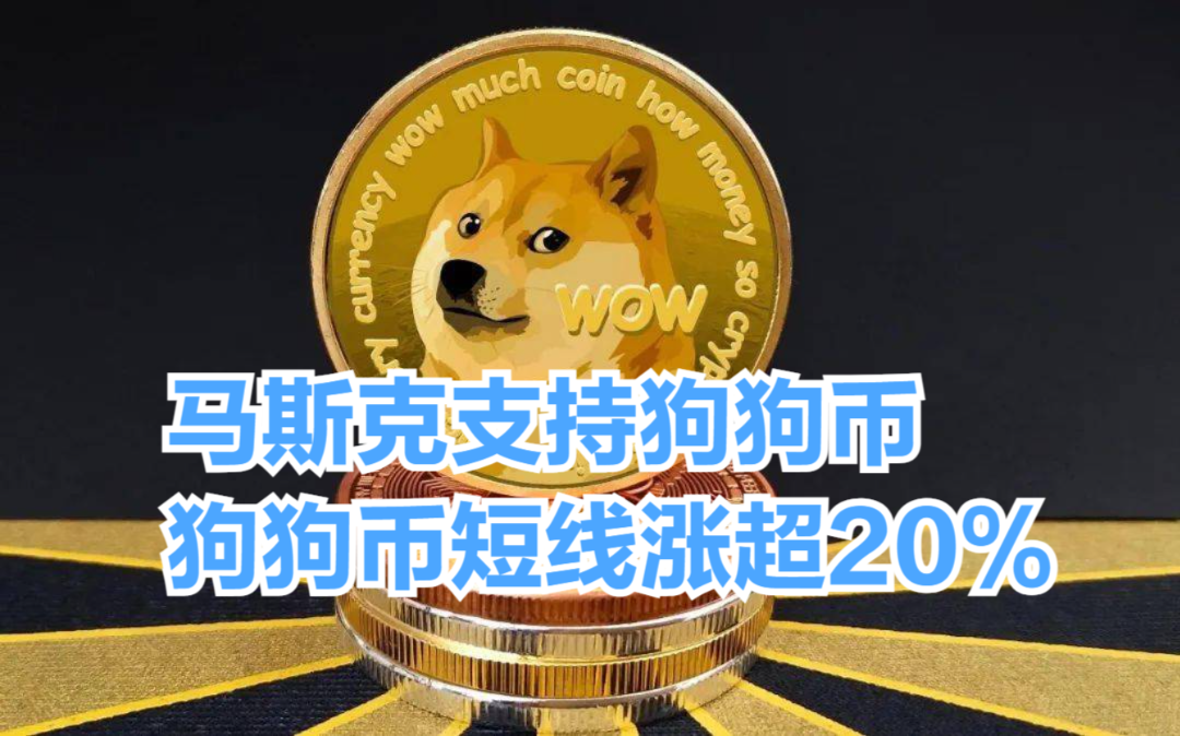 狗狗币从19年到现在涨多少倍(狗狗币2021年能涨到10元吗)