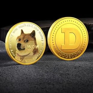 正宇后面给的狗狗币网站(正宇控股买的狗狗币去哪了)