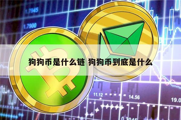 17年买了2亿狗狗币(17年买了2亿狗狗币值多少钱)