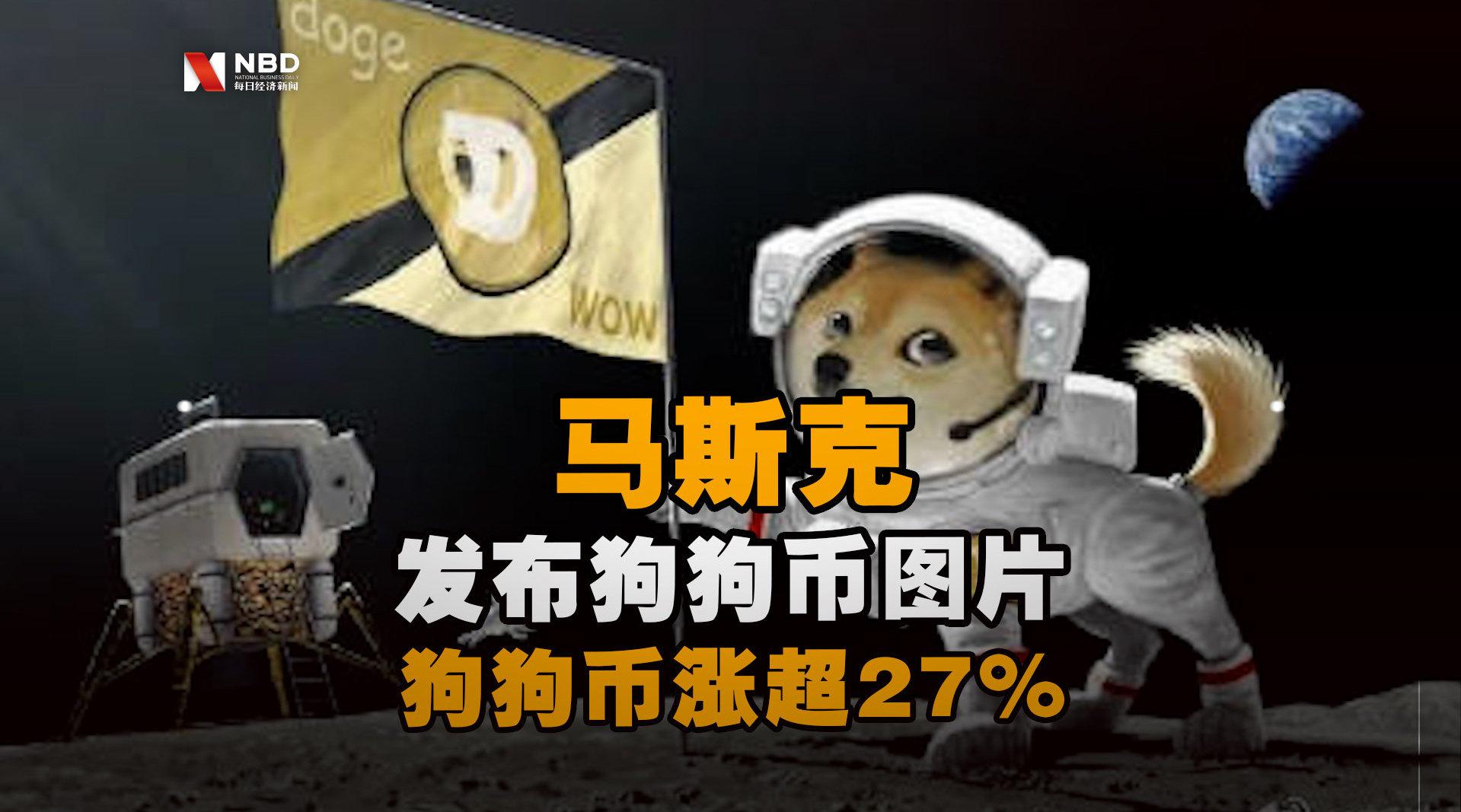 就是狗狗币(那个是狗狗币)