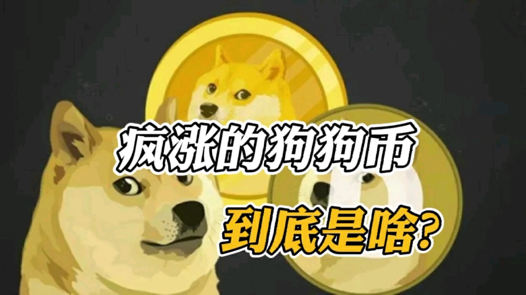 狗狗币近一年翻了多少倍(狗狗币从开始到现在翻了多少倍)