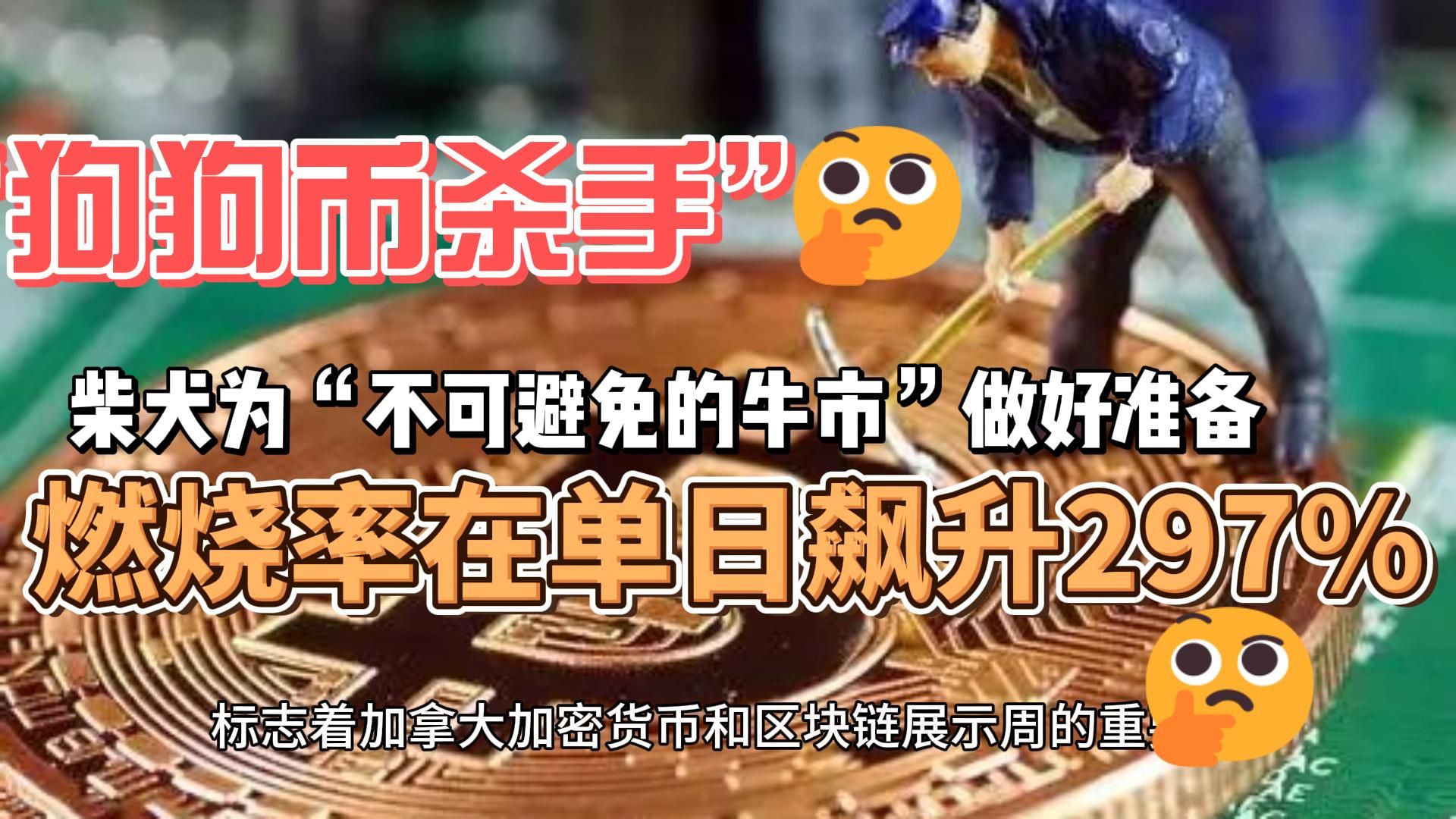 狗狗币为啥用柴犬(狗狗币会不会带动柴犬销售)