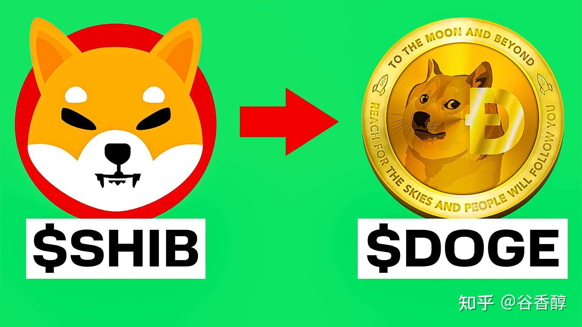 狗狗币离谱货币(狗狗币平台可靠吗)