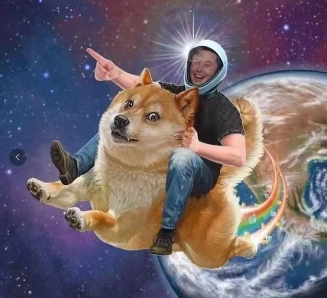 狗狗币表情包由来(狗狗币meme表情)