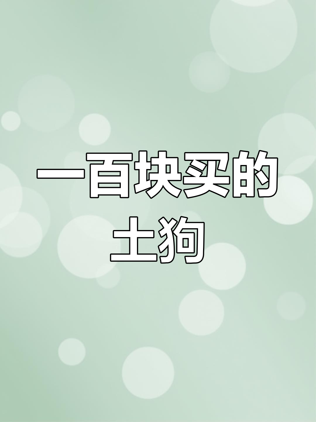 狗狗币二狗三狗(二狗币是什么意思)