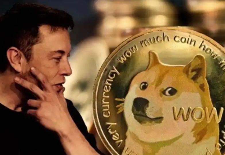 狗狗币今日人民币是多少(狗狗币今日人民币多少钱一个)