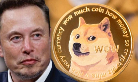 10万能买多少狗狗币(十万块买狗子你买吗原版视频)