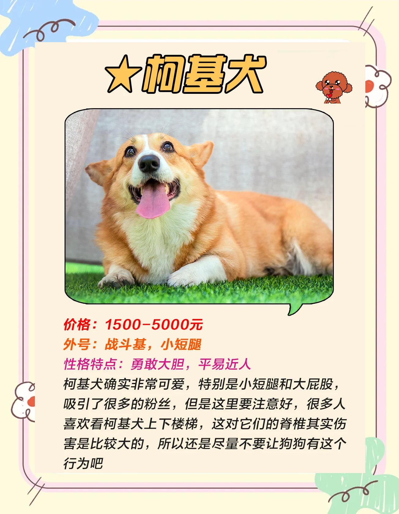 现在还可以买狗狗币吗(狗狗币不知道哪个交易平台怎么办)