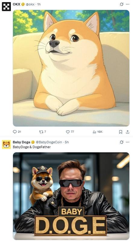 关于狗狗币系统更新后看不见币了的信息