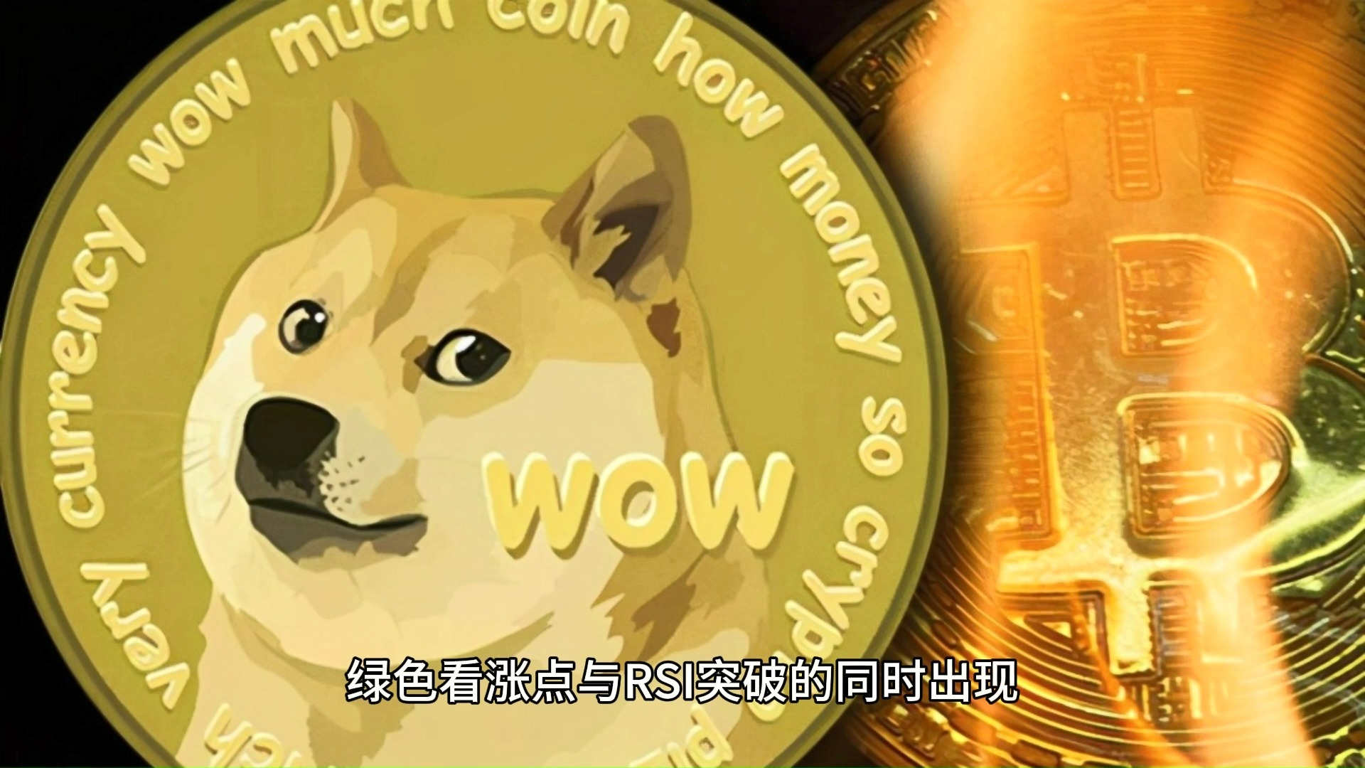 狗狗币涨不涨看什么(狗狗币未来能涨到多少)