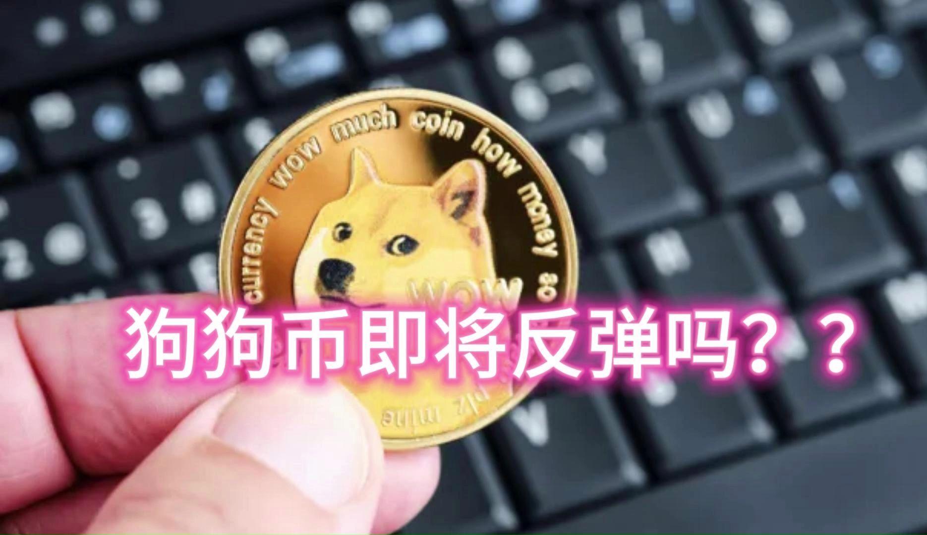 从哪里可以交易狗狗币(中国哪里可以交易狗狗币) 从哪里可以交易狗狗币(中国哪里可以交易狗狗币)